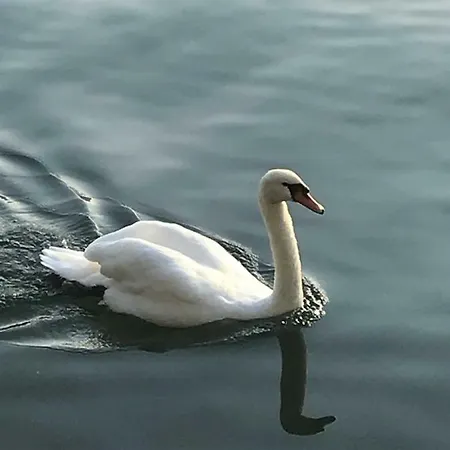 La Casa Di Tito - Όπως