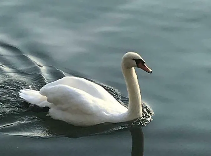 La Casa Di Tito - Como